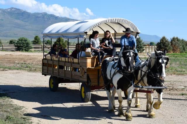 Wagons are a good way to get around the eco-resort. Picture: Lisa Young