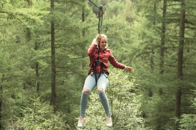 Go Ape's sales hit new heights in Scotland despite the rainy summer