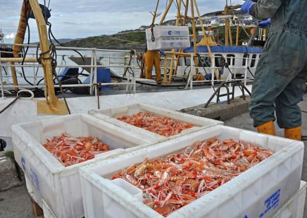 Trawling for prawn and langoustine would be banned in MPAs. Picture: Dave Linkie