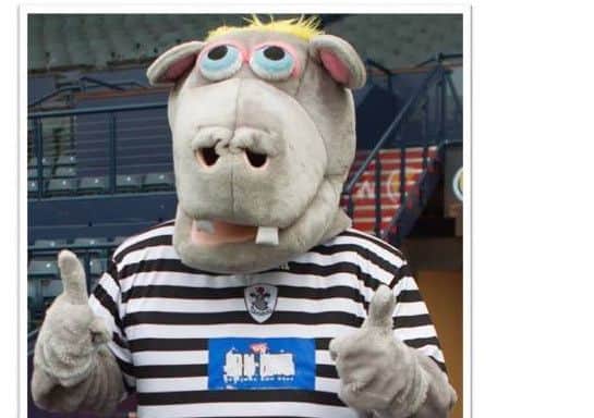 Harry the Hoopo has lost his head