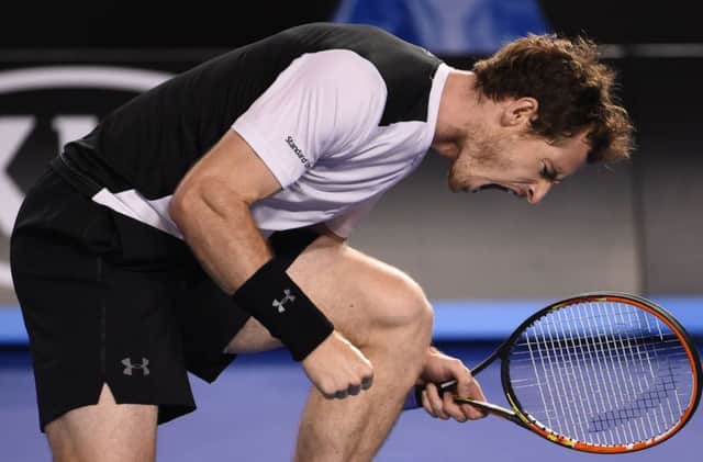 Murray is through to his fifth Australian Open final. Picture: AFP/Getty