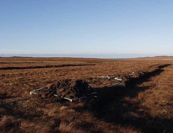 Scotland holds over 60 per cent of the UKs peatlands. Picture: TSPL