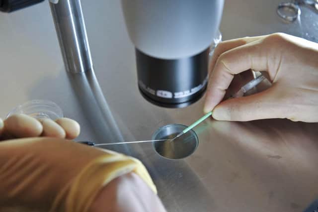 Scientists were given permission to genetically modify human embryos for the first time in the UK. Picture: PA
