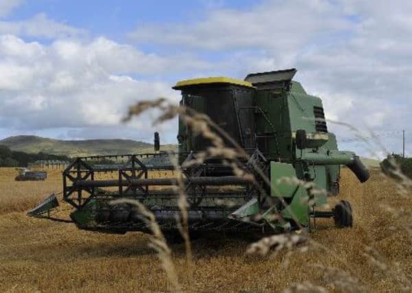 Few signs of cheer were offered to Scottish grain growers