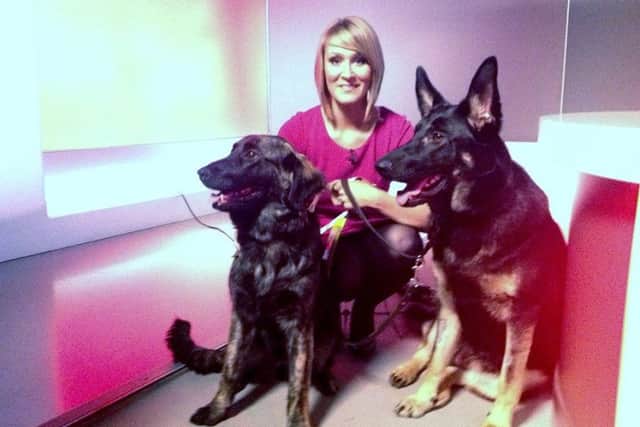 A snapshot into the life of a guide dog trainer. Pictures: Carol McDonald