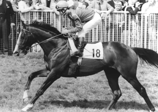 Shergar, the 1981 Derby winner, was stolen from his stable and a Â£2million ransom was demanded. Picture: Hulton/Archive