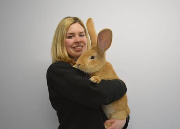 The rabbit, which is now the size of a small dog, will need someone experienced