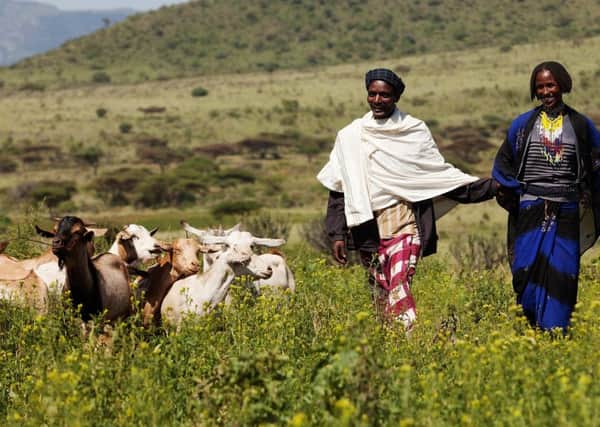 Carfi Sara and his wife Kabele and their three children were given goats, a camel and donkey to rebuild their lives. Picture: Contributed