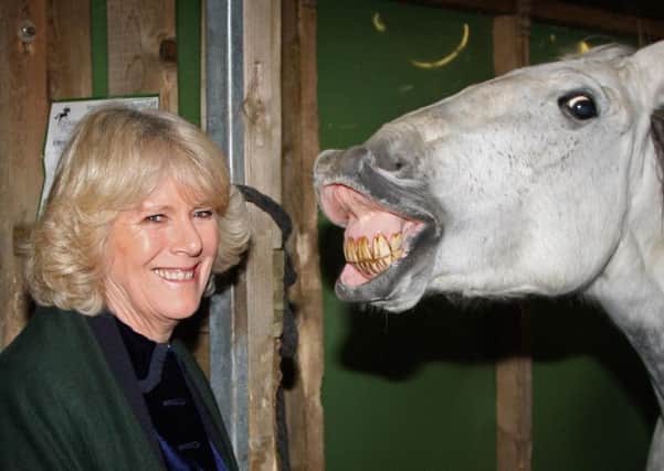 The Duchess of Cornwall tries out some expressions on an equine subject. Picture: PA