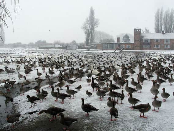 The former home of Sir Peter Scott at Slimbridge wetland centre in Gloucestershire. Picture: PA