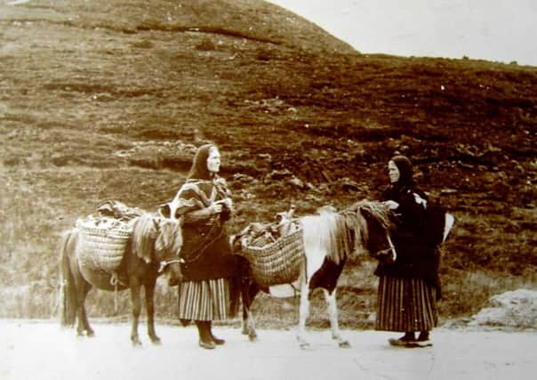 Women working with ponies on Shetland around 1900