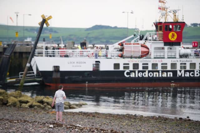 The discovery on Millport beach has led to claims that there may be other gold deposits nearby. Image: John Devlin