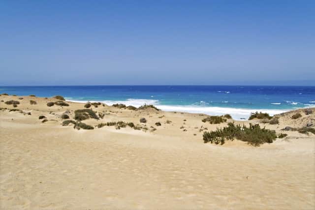 A beach on Fuerteventura
. Picture: iStock