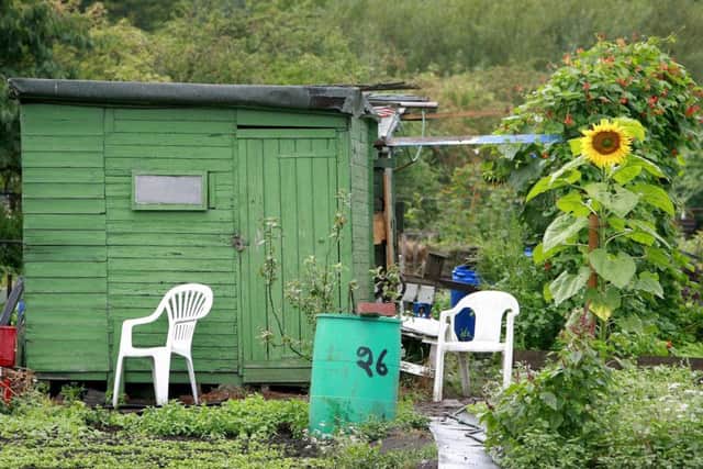 The 'internet of things' could help more people grow fruit and vegetables at home, according to Censis. Picture: Christopher Furlong/Getty Images