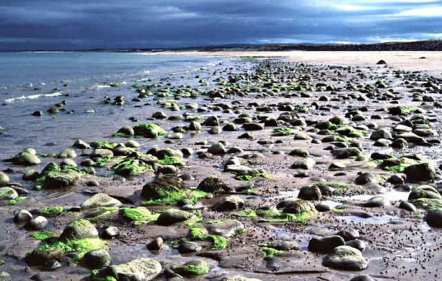 Golspie Beach. Picture: Geograph