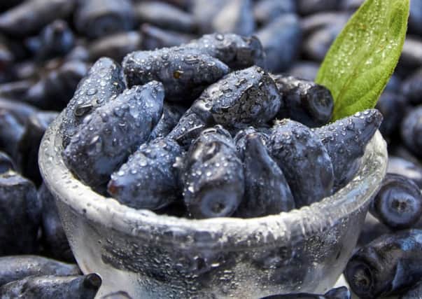 The fruit tastes like a cross between a raspberry and a blueberry and resembles a mini blue banana. Picture: iStock