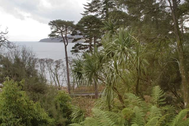 Picture: Ray Cox (rcoxgardenphotos.co.uk)