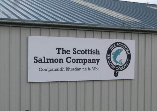 The Scottish Salmon Company said it has 'strong' foundations in place