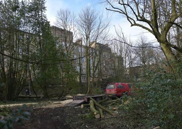 Leeds-based developer Expresso Property has been criticised for felling trees in park. Picture: Contributed