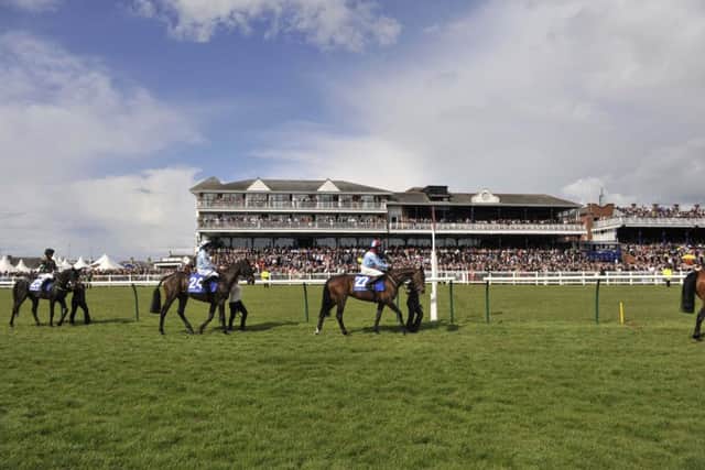 Ayr earned the award for the 11th time in 12 years. Picture: Robert Perry