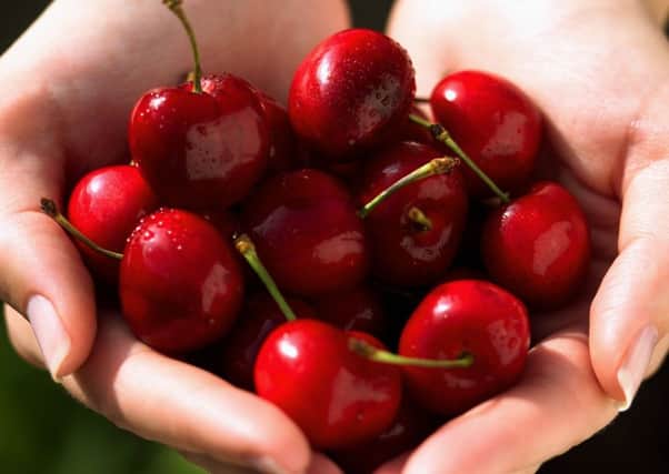 Handful of cherries. Picture: Thinkstock
