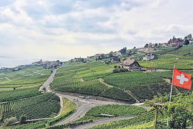 Vineyards in the Lavaux region, with Lake Geneva visible in the distance. Picture: Patrick McPartlin