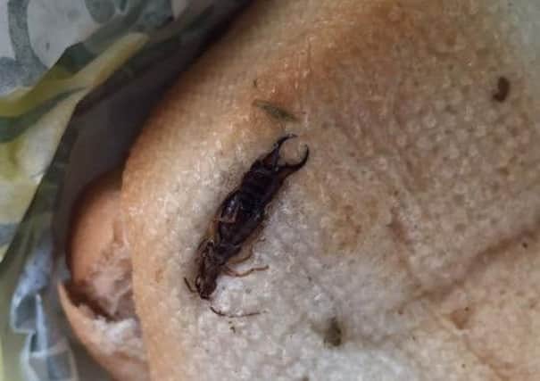 Dean Mclernon Subway sandwich. Picture: Facebook