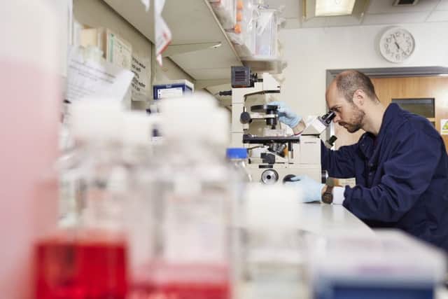 The conference will discuss ways of making molecules more effective in fighting cancer