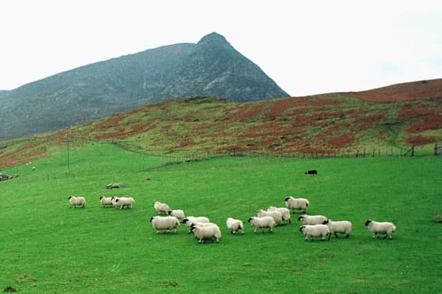 It is possible to have more than one activity on hill land