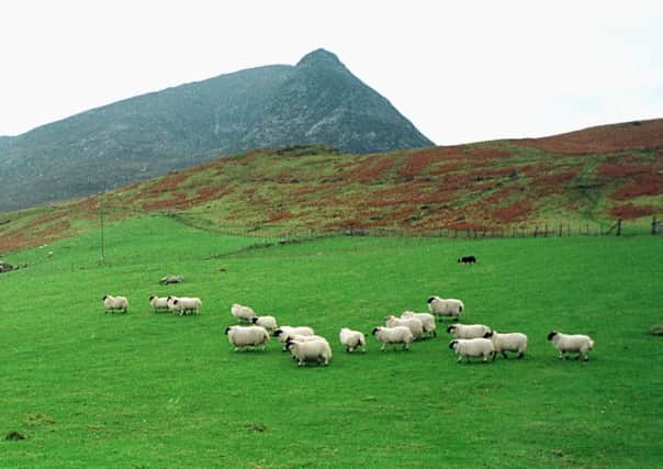 It is possible to have more than one activity on hill land