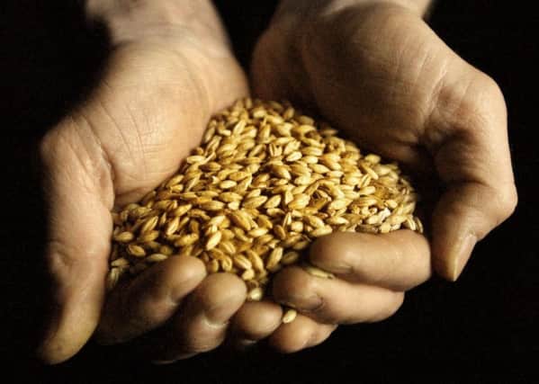 'Downstream' use of barley generates billions for the economy. Picture: David Cheskin/PA