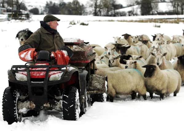 Scotland's entire rural economy is getting hammered. Picture: Andrew Milligan/PA
