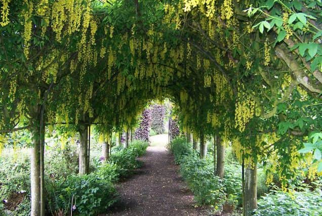 The floral archway at Kailzie Gardens