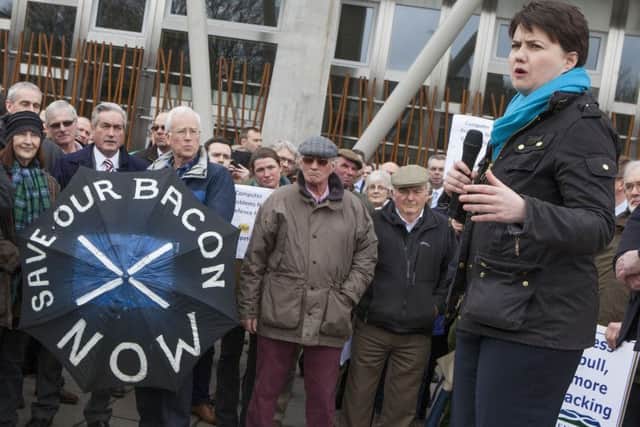Tory leader Ruth Davidson addressed the rally. Picture: Hemedia
