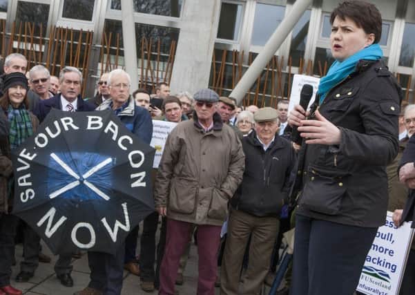 Tory leader Ruth Davidson addressed the rally. Picture: Hemedia