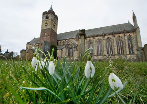 Snowdrops in bloom outside Dunblane Cathedral. Picture: John Devlin