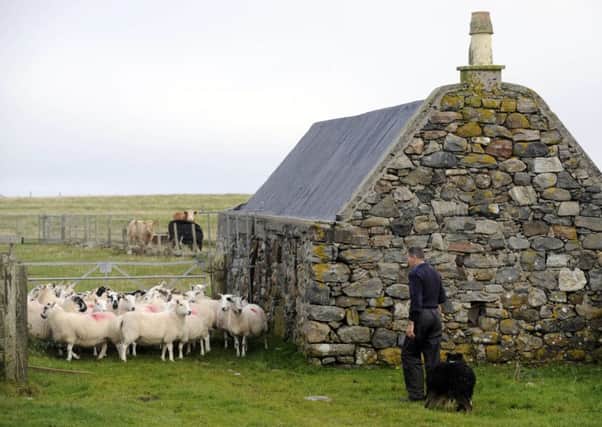 The laws on crofting are complex. Picture: Ian Rutherford
