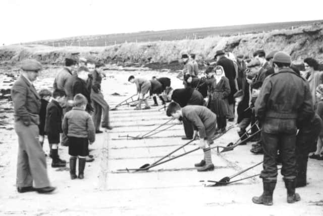 Competitors in the The South Ronaldsay Boys Plouging Match use unique miniature plough unique to the contest with the kit often handed down through families. PIC Orkney Library and Archive.