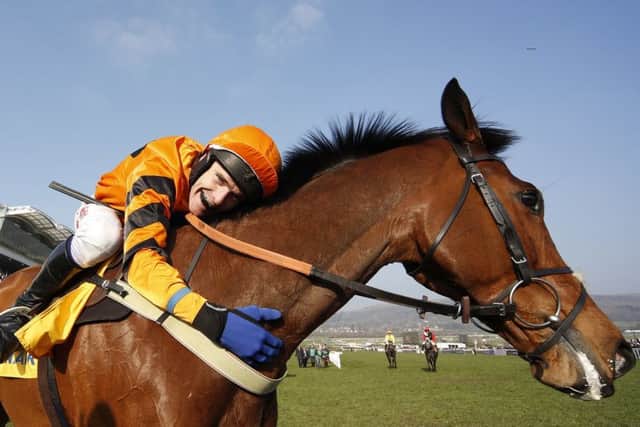 Tom Scudamore riding Thistlecrack win The Ryanair World Hurdle Race. Picture: Getty