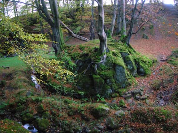 A semi-natural moot hill in Giffordland, East Ayrshire. Such places were commonly used in the feudal era for public meetings and executions. Picture: Roger Griffith