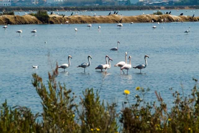 Ria Formosa, an 18-hectare nature reserve