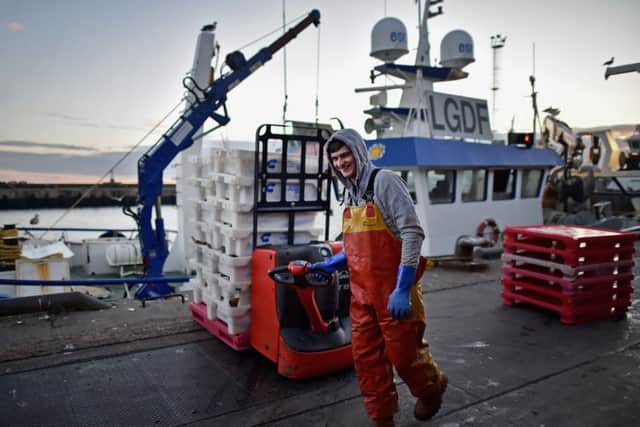Fishermen land their catch at Peterhead as Seafish figures paint a 'positive picture' for the industry. Picture: Jeff J Mitchell/Getty Images