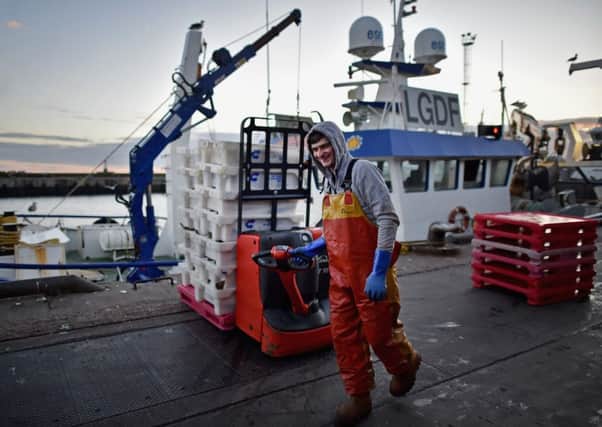 Fishermen land their catch at Peterhead as Seafish figures paint a 'positive picture' for the industry. Picture: Jeff J Mitchell/Getty Images