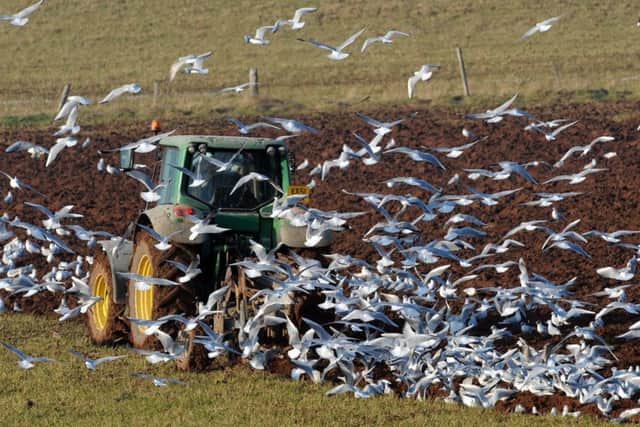 Farm incomes halved in the four years to 2014, new figures show. Picture: Barry Batchelor/PA Wire