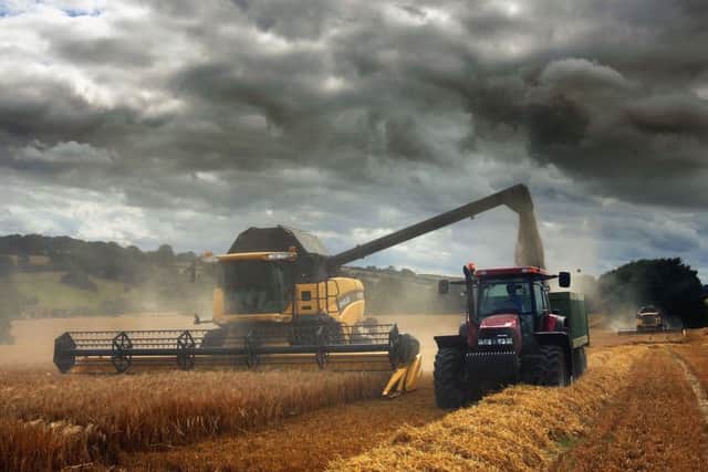 Scottish farm land remains in demand. Picture: Scott Barbour/Getty Images