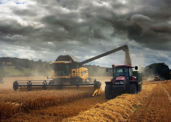 Scottish farm land remains in demand. Picture: Scott Barbour/Getty Images