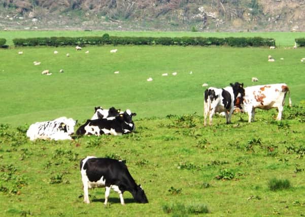 The Scottish Tenant Farmers Association is looking forward to a 'new era' in landlord relationships. Picture: Johnston Press
