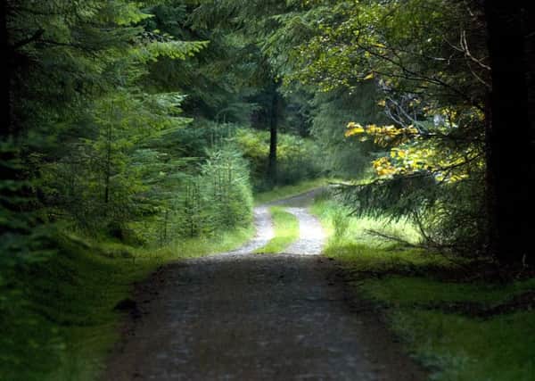 The Baobhan Sith would stalk wooded areas, waiting for unsuspecting travellers Picture: TSPL