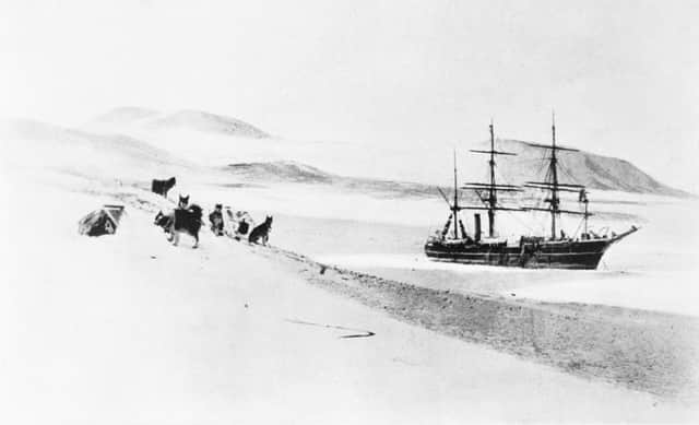 A dog team near the ice-bound RRS Discovery, circa 1903.