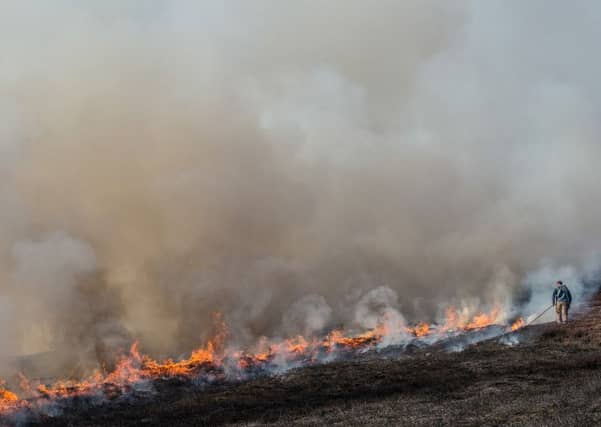 Muirburning on Invercauld Estate, Aberdeenshire. Picture: Steven Rennie Photography